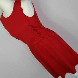 NWT Pim+Larkin red scallop dress XS